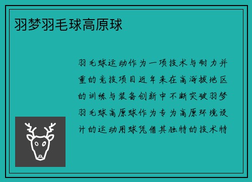 羽梦羽毛球高原球