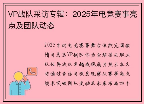 VP战队采访专辑：2025年电竞赛事亮点及团队动态