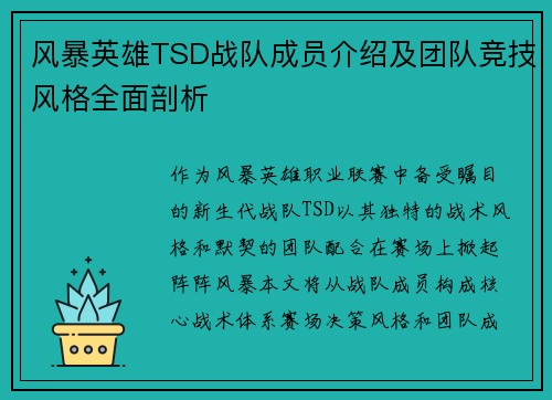 风暴英雄TSD战队成员介绍及团队竞技风格全面剖析